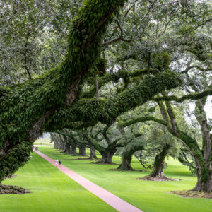 Oak Alley Plantation, Road Trip the USA by Camille Massida Photography